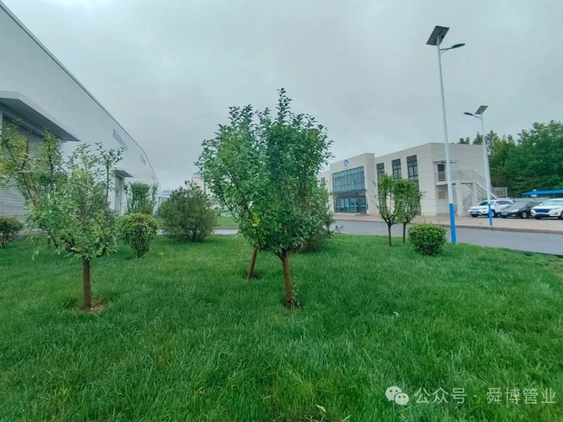 以“绿”为底 向“绿”而行