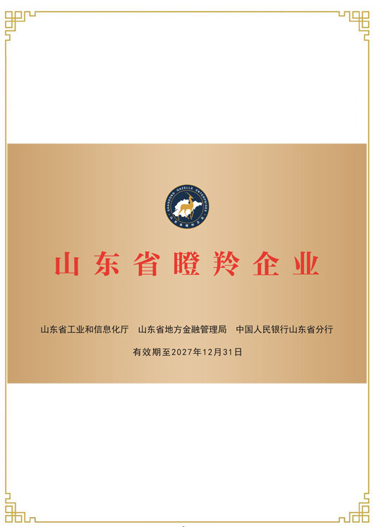 山东省瞪羚企业